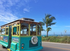 Adventures in Paradise