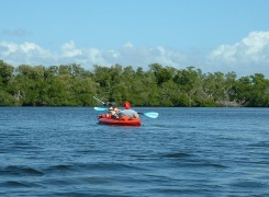 Gaea Guides Kayak Nature Tours