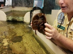 Ostego Bay Foundation Marine Science Center