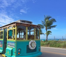 Adventures in Paradise
