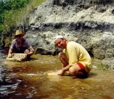 Fossil Expeditions