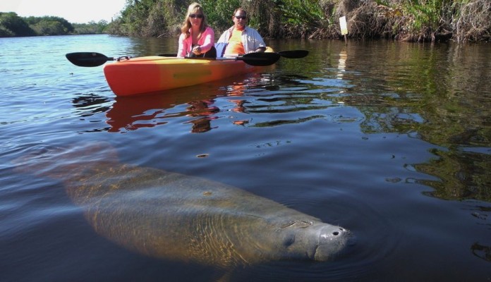 Manatee Park