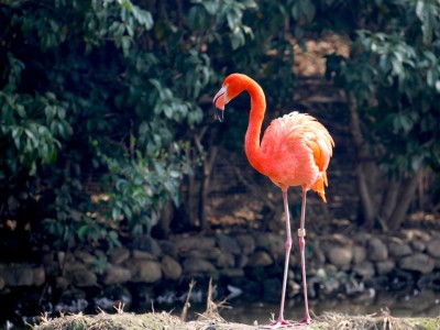 Local Attractions